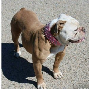 Meet your Posher, Khourey